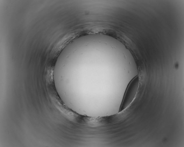 X0000116300191200912141344