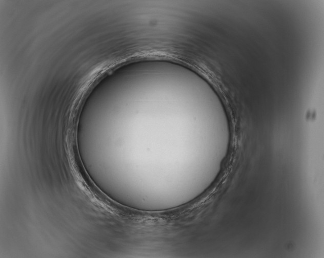 X0000116300193200912141343