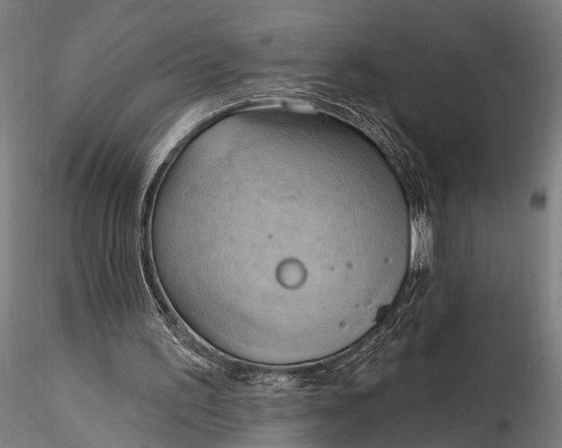 X0000116300195200912141343