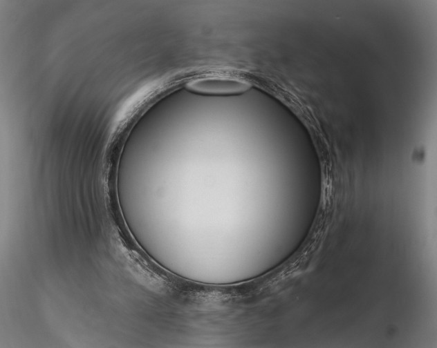 X0000116300197200912141343