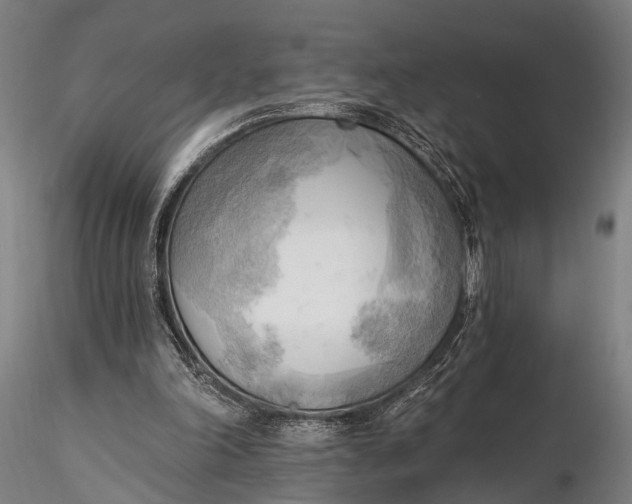 X0000116300198200912141343