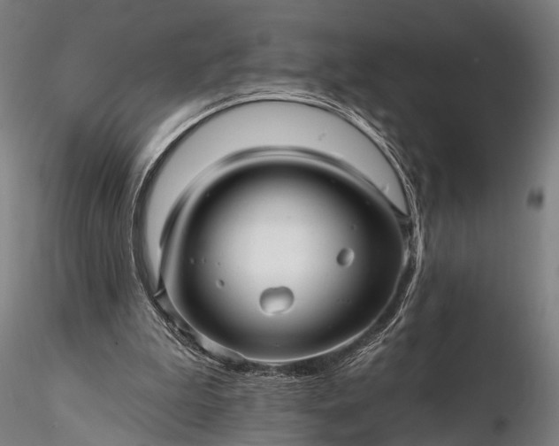 X0000116300199200912141343