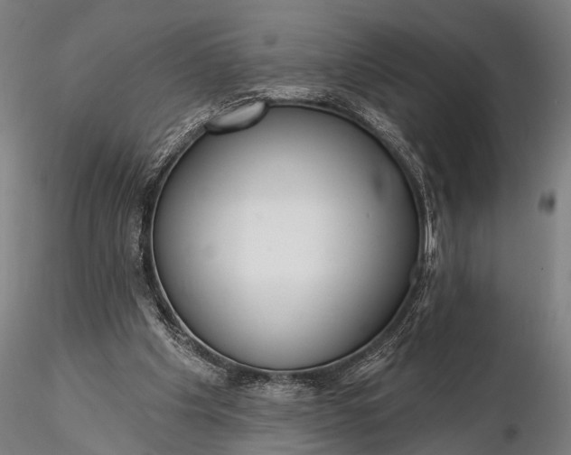 X0000116300201200912141343