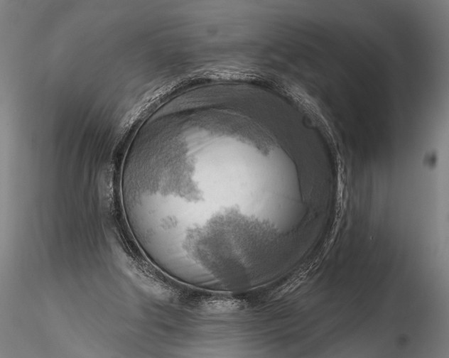 X0000116300202200912141343