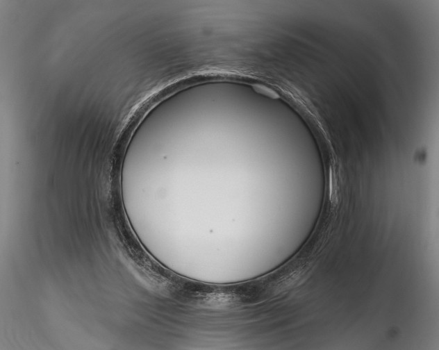 X0000116300204200912141343