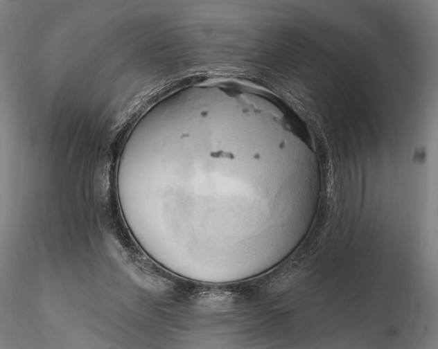 X0000116300206200912141343