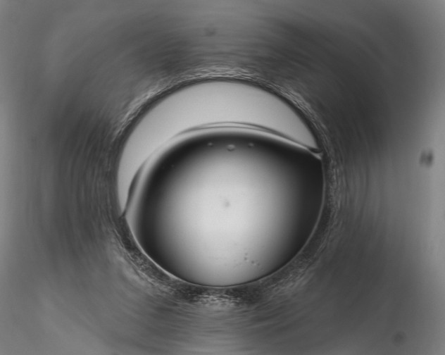 X0000116300207200912141343