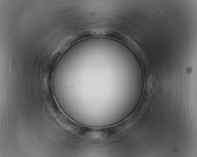 X0000116300209200912141343