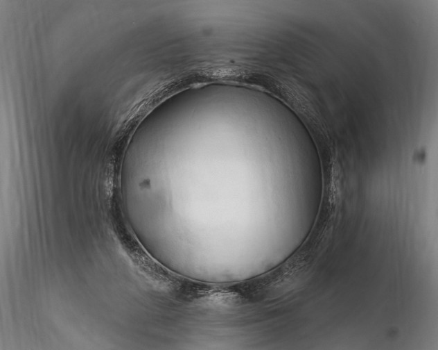 X0000116300210200912141343