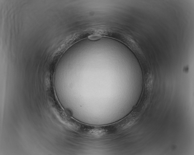 X0000116300213200912141343