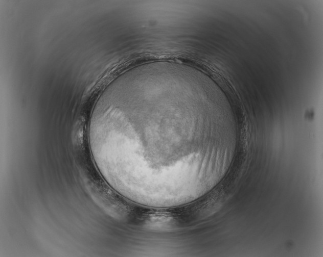 X0000116300214200912141343