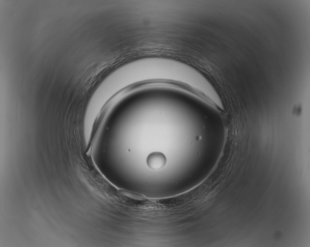 X0000116300215200912141343