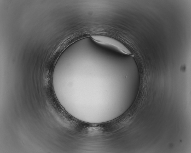 X0000116300216200912141343