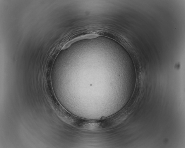 X0000116300217200912141343