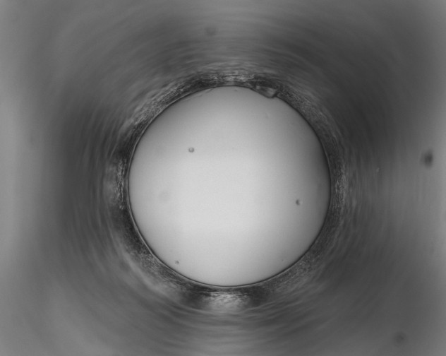 X0000116300218200912141343