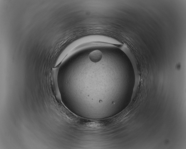 X0000116300219200912141343