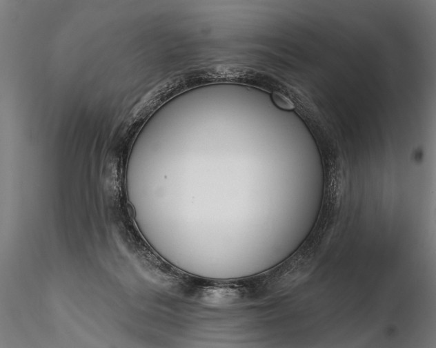 X0000116300220200912141343