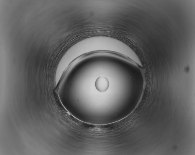 X0000116300221200912141343