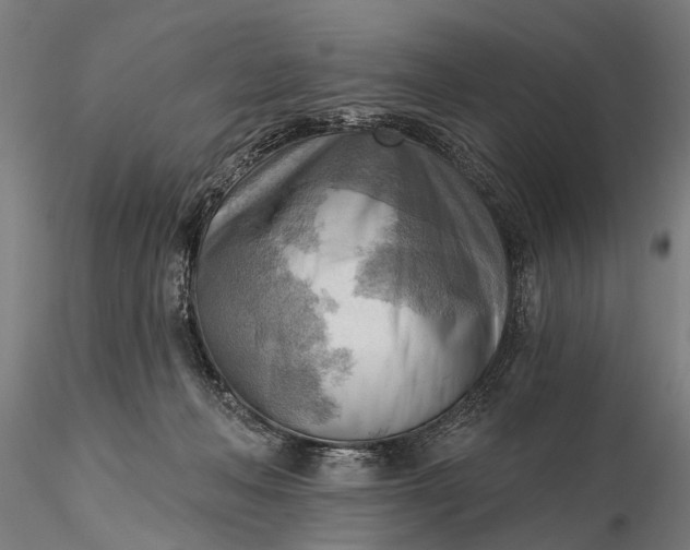 X0000116300222200912141342