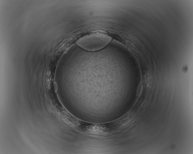 X0000116300223200912141342