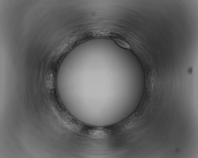 X0000116300224200912141342