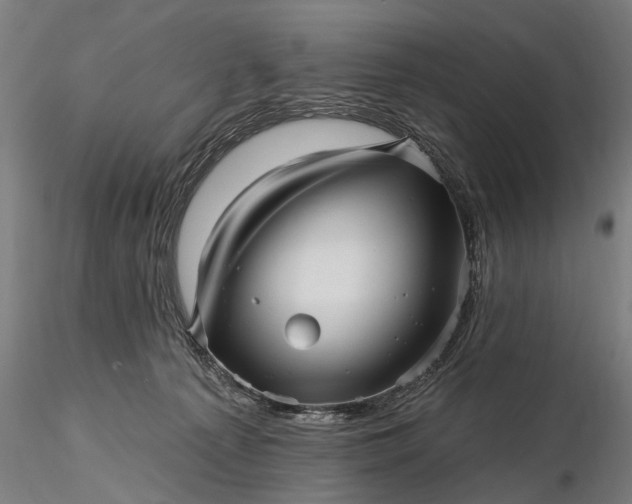 X0000116300225200912141342