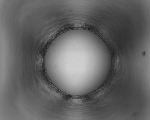 X0000116300228200912141342