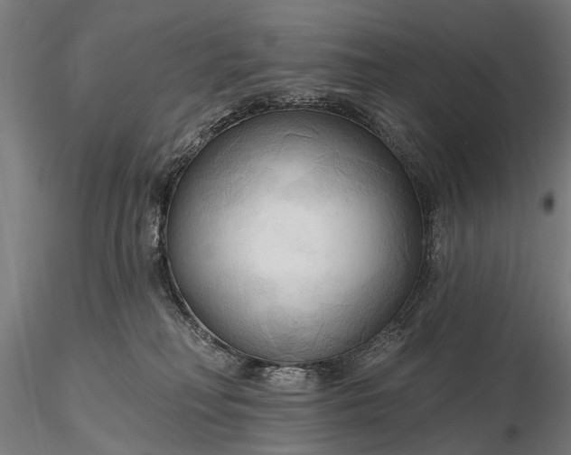 X0000116300230200912141342