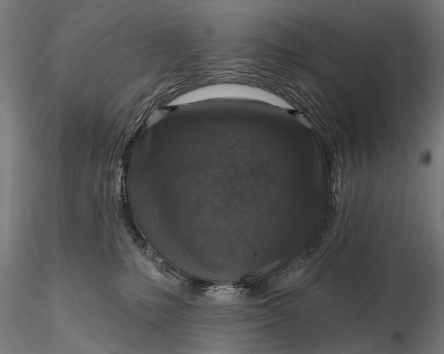 X0000116300231200912141342