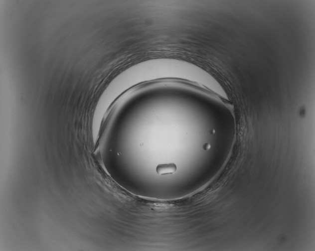 X0000116300233200912141342