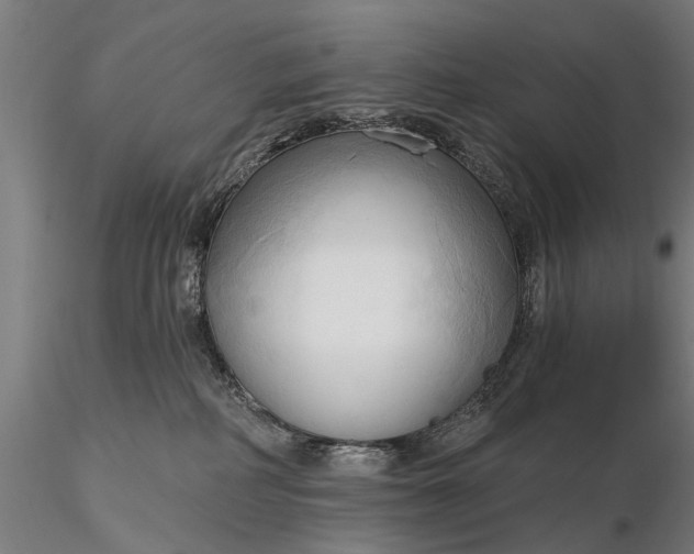 X0000116300234200912141342