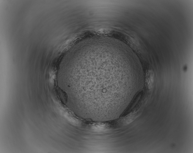 X0000116300235200912141342