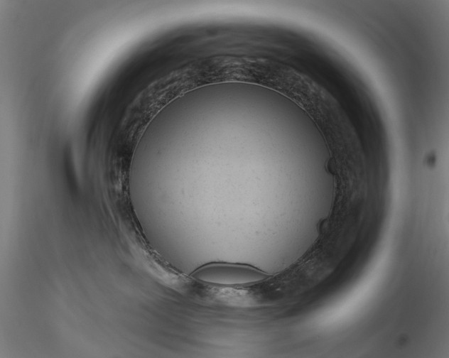 X0000116300239200912141342