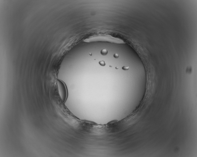 X0000116300240200912141342