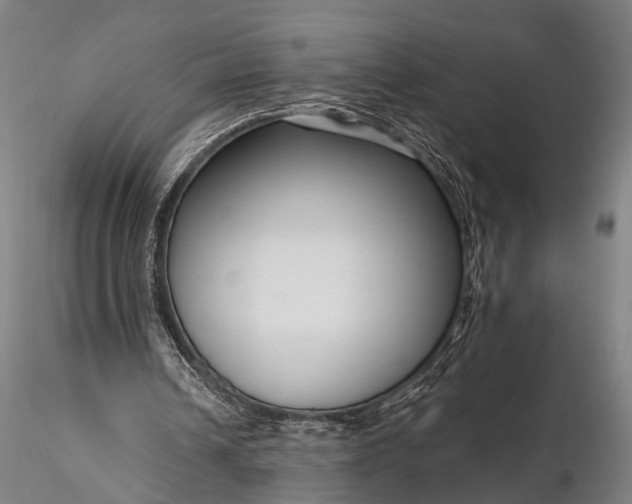 X0000116300242200912141342