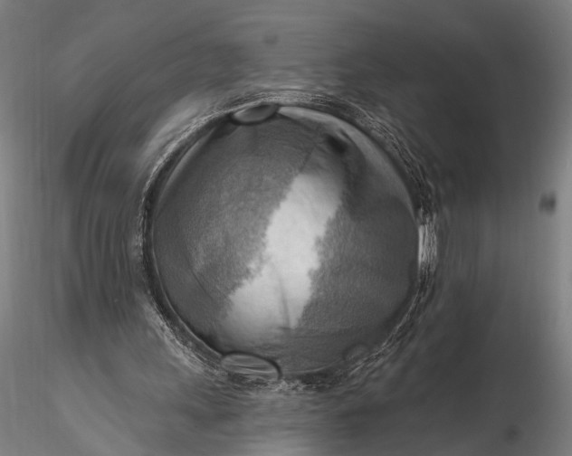 X0000116300243200912141342