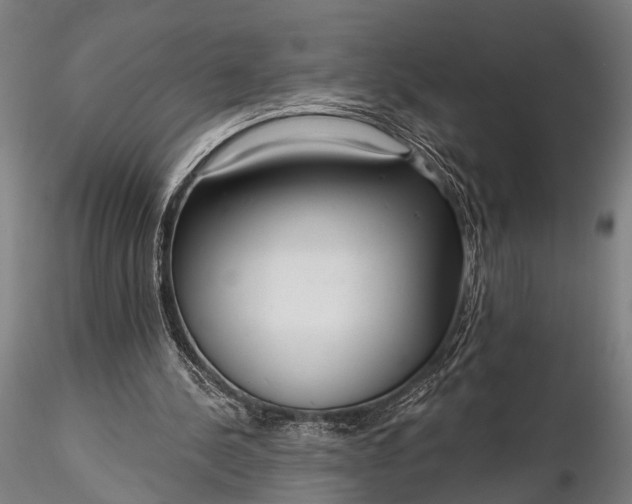 X0000116300244200912141342