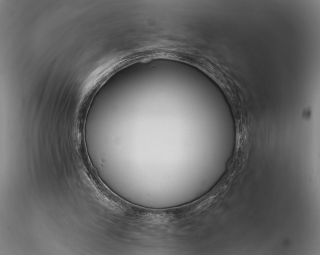 X0000116300245200912141342