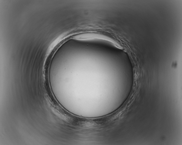 X0000116300246200912141342