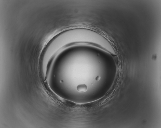 X0000116300248200912141342