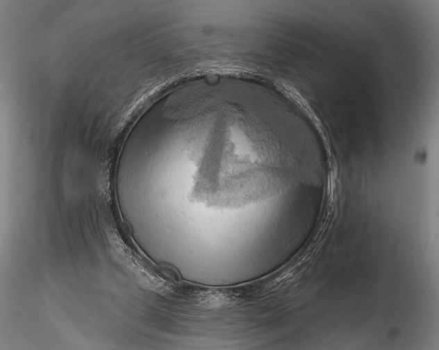 X0000116300249200912141342