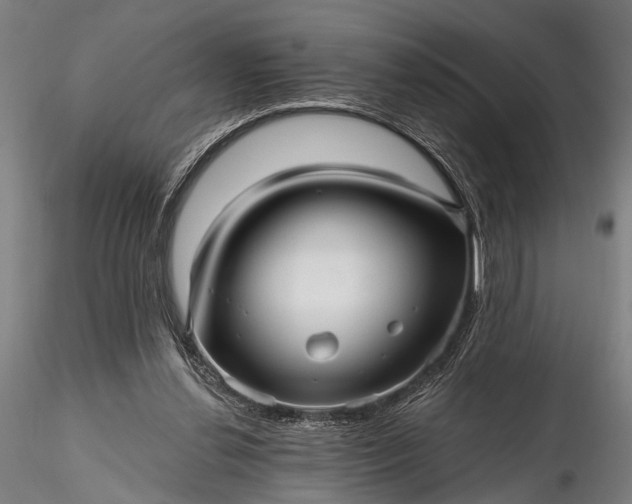 X0000116300252200912141342