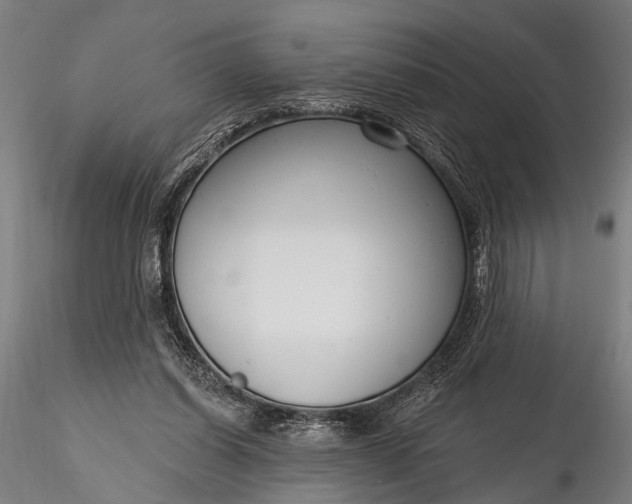 X0000116300254200912141342