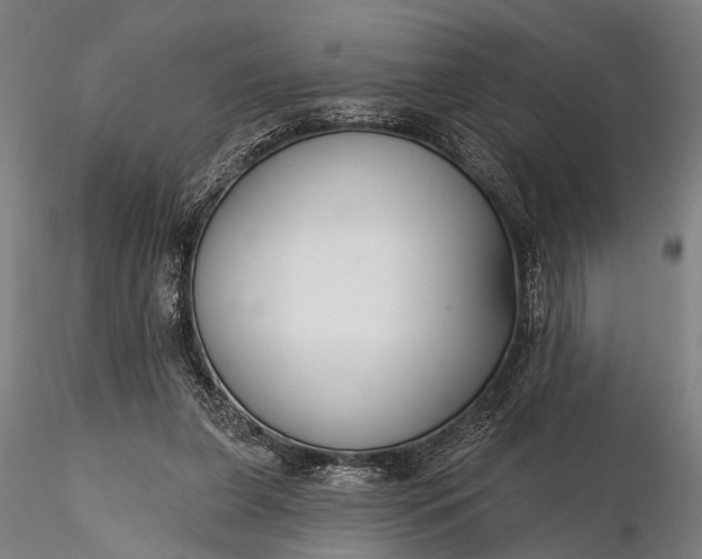 X0000116300255200912141342