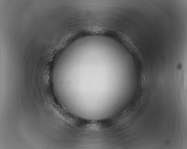 X0000116300259200912141342