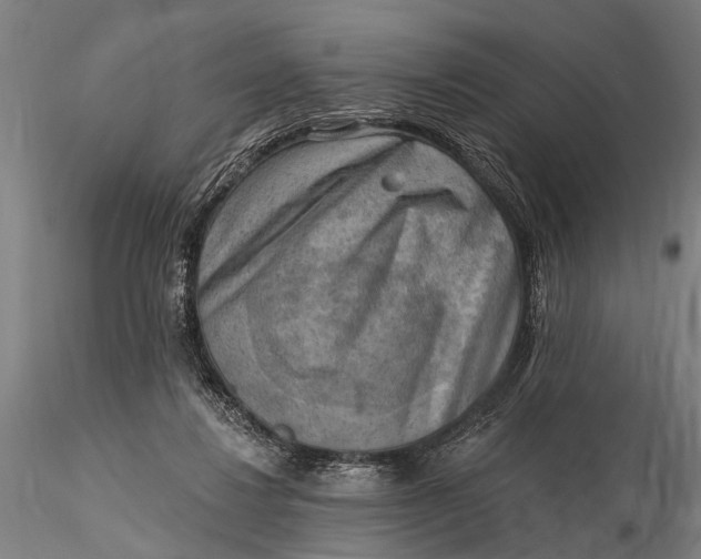 X0000116300260200912141342