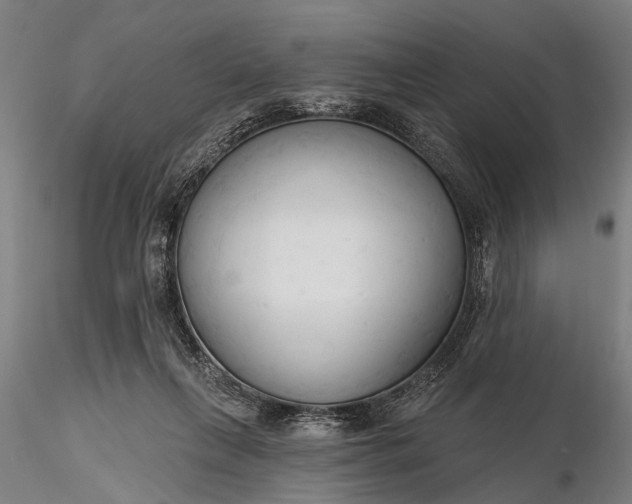 X0000116300263200912141342