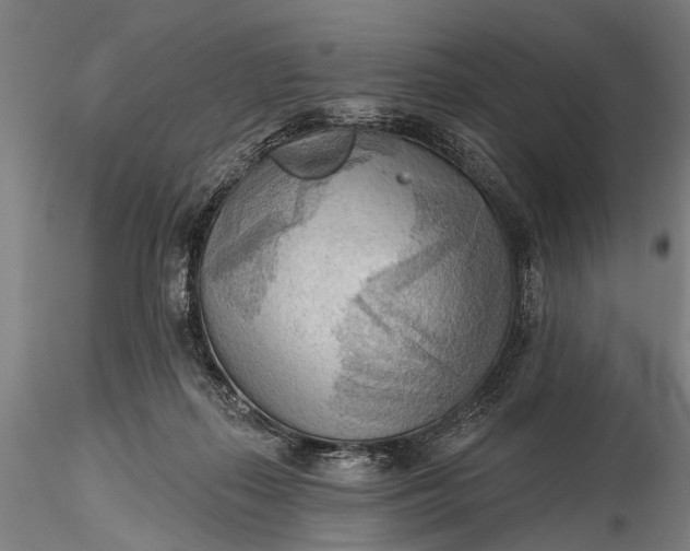 X0000116300267200912141342