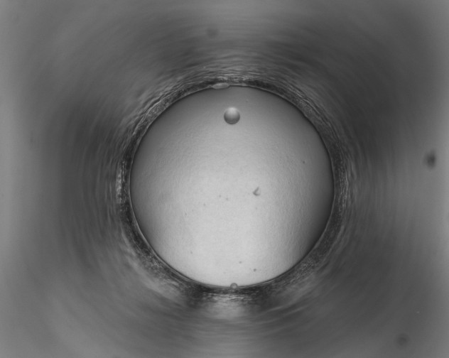 X0000116300268200912141342