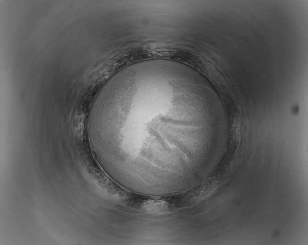 X0000116300271200912141342